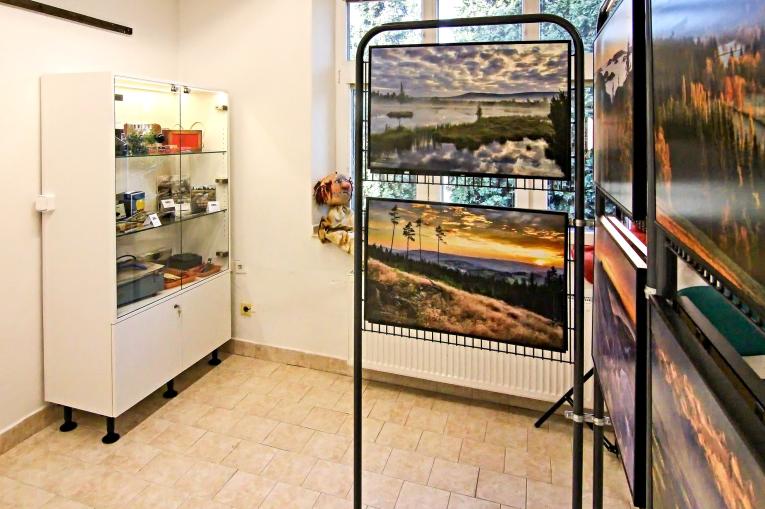 Výstavní síň j enově doplněna vitrínami s fotopředměty na bývalý mokrý proces