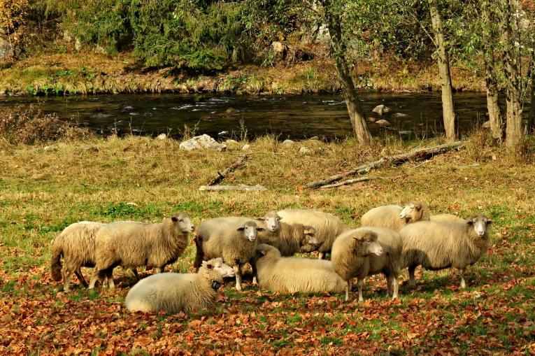 Šumava 2018