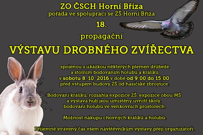výstava