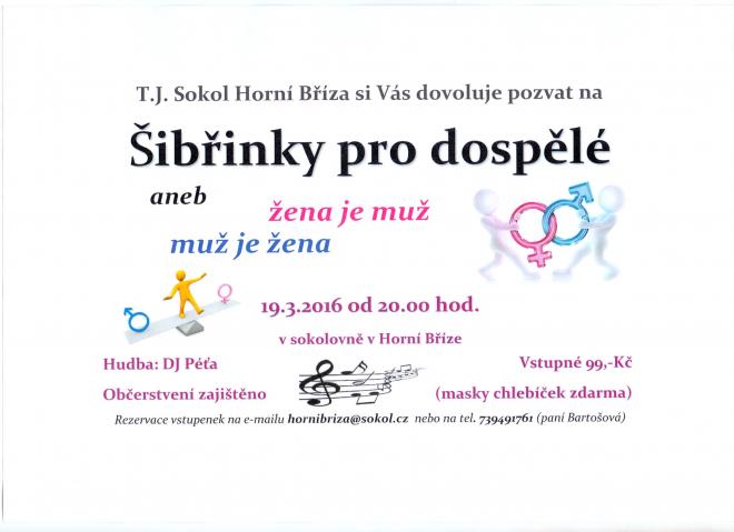 Šibřinky pro dospělé