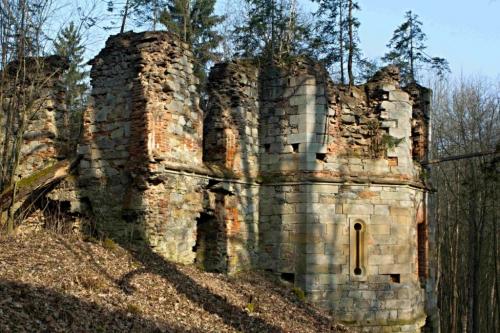 Porostlé ruiny kláštera ve&nbsp;Světcích smrkem a&nbsp;borovicí