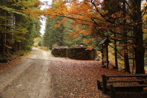 Podzimní Šumava 14. 10. 2015