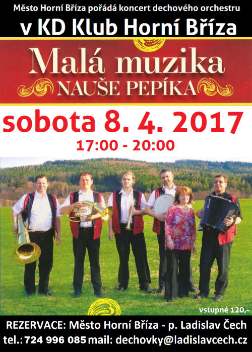 Malá muzika Nauše Pepíka - plakát