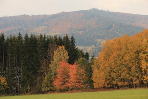 HB Photo Club na Šumavě 21.-23.10.2018