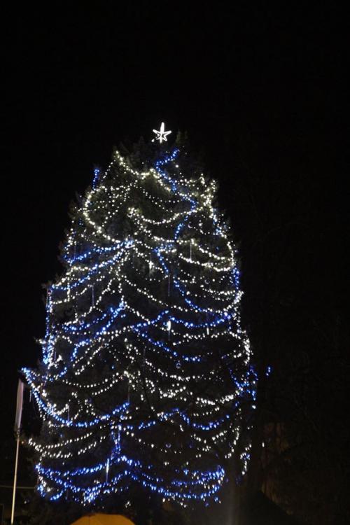 Rozsvícení vánočního stromu a vánoční jarmark, 1. 12. 2019