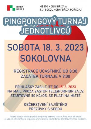 pingpong