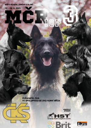 igp3